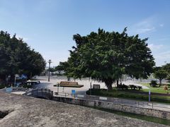 -石炮台公园