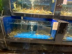 水产区-鹏天阁酒楼·海鲜(红旗店)