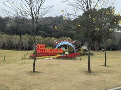 -野狸岛