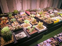 -Summer House夏莫手工坊团建活动(世博源店)