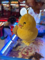 -卡通尼·Safari非洲探索乐园·生日会(金桥国际商业广场店)