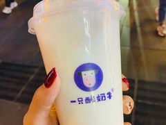 -一只酸奶牛(八一路店)