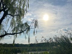 -同里国家湿地公园