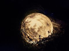 -漪龙台·B26 Rooftop Lounge