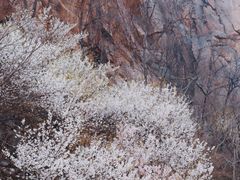 -崂山九水游览区