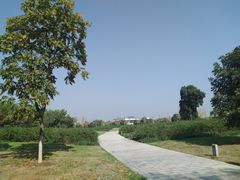 -九里河湿地公园