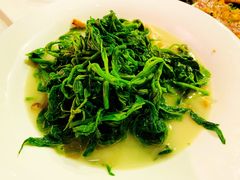 浓汤野菌泡时蔬-广州塔晖粤轩中餐厅