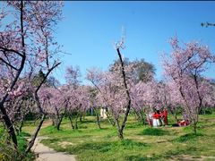 -无锡梅园公园