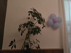 -丝宴·凤城印象·西北特色菜(彩虹湾店)