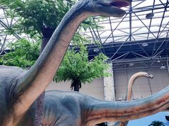 -国家自然博物馆