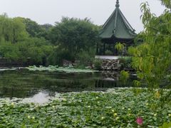 -无锡蠡湖国家湿地公园-蠡园