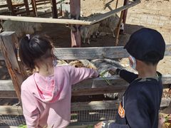 -北京鹿世界主题园