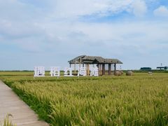 -红海滩国家风景廊道