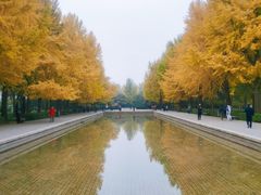 -玲珑塔公园