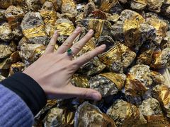 -天津金元宝滨海农产品交易市场(共发大道)