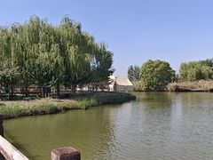 -西青郊野公园