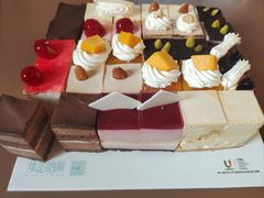 -维尔纳斯·生日蛋糕·动物奶油冰淇淋蛋糕(六里桥店)