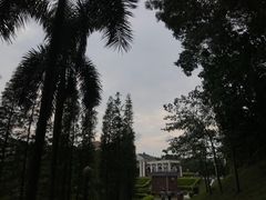 -三水森林公园