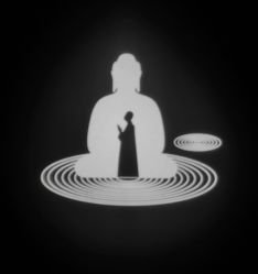 -琦品高端美容SPA会所