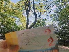 -茶颜悦色(岳麓山顶店)