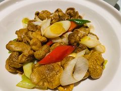 祁连山黄蘑菇-宁夏国强手抓羊肉·清真菜(未央路凤三店)