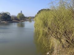 -江滩湿地公园