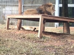 -昆明动物园