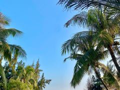 -海南清水湾莱佛士酒店