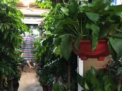 -万商花鸟市场