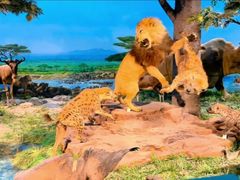 -国家自然博物馆