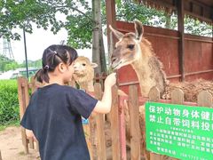 -王借岗森林公园