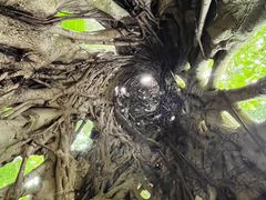 -华南国家植物园-售票处