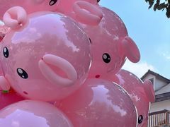 -贵阳市花溪国家城市湿地公园
