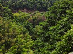 -宁波五龙潭景区