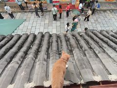 -勝记粉库桂林米粉非遗传承(西街店)