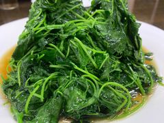 -协和菜馆(凤凰街店)