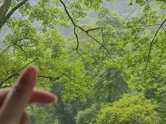 -碧峰峡风景区