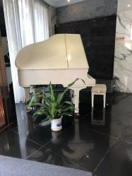 -比华利美容医院