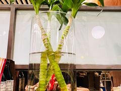 -枣子树素餐厅(铂金城店)