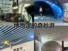 -安徽省地质博物馆