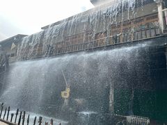 -呀路古热带植物园