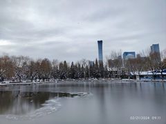 -团结湖公园