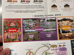 -济州森林小火车生态公园