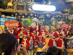 -卡通尼·Safari非洲探索乐园·生日会(金桥国际商业广场店)