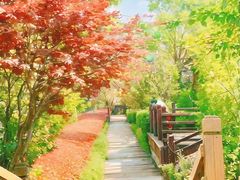-北岭山森林公园