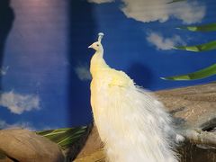 -苏州海洋馆