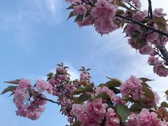 -大望京公园