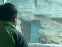 -泉城欧乐堡海洋极地世界