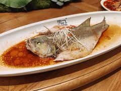 -陶然居·重庆菜(解放碑店)