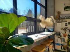 -隹木咖啡馆(宝龙广场店)